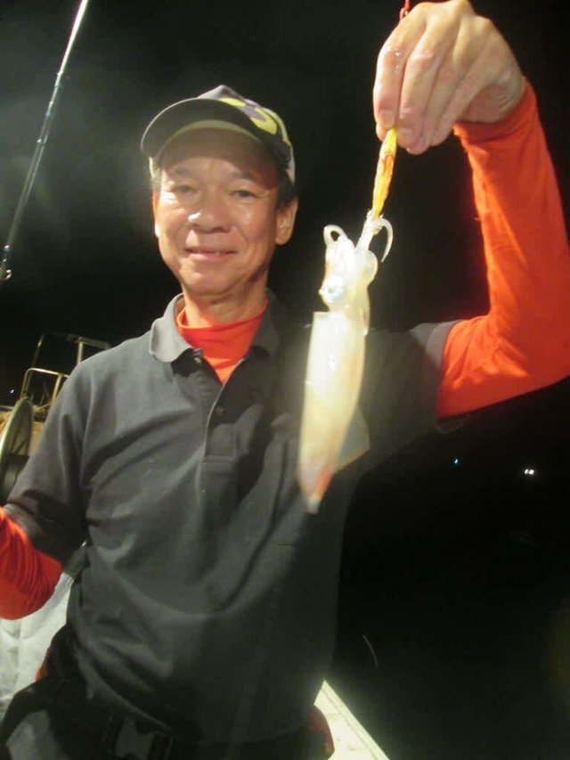 マイカ(ケンサキイカ)