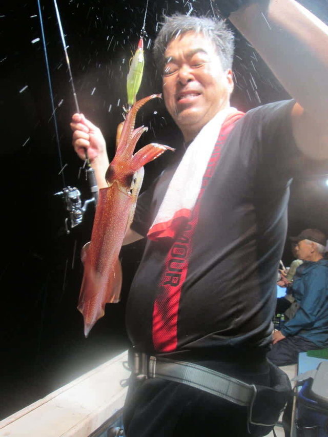 マイカ(ケンサキイカ)