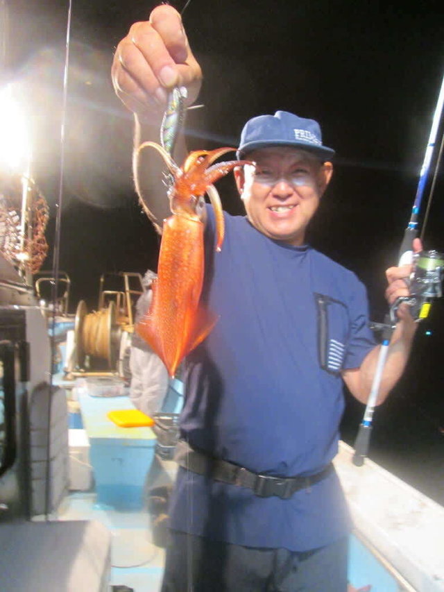 マイカ(ケンサキイカ)