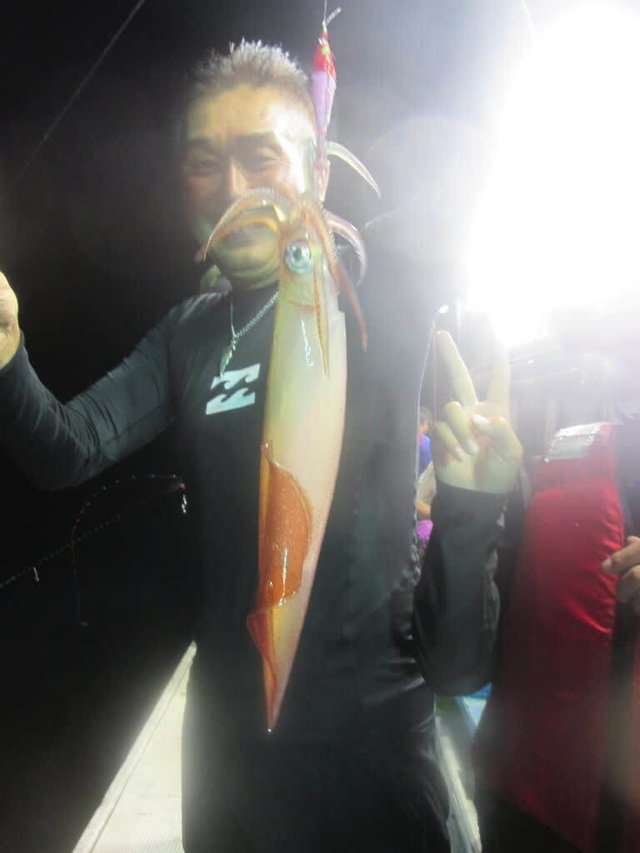 マイカ(ケンサキイカ)