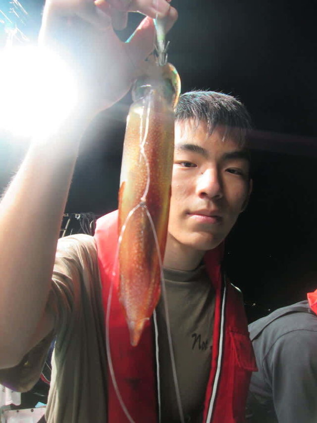 マイカ(ケンサキイカ)