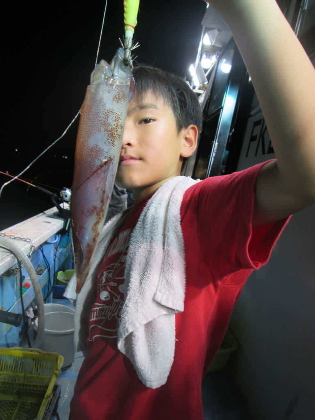 マイカ(ケンサキイカ)