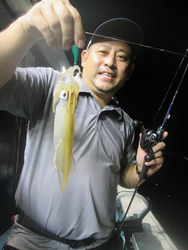 マイカ(ケンサキイカ)