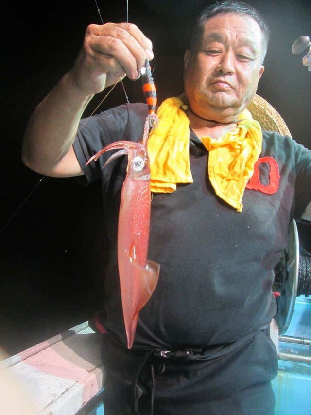 マイカ(ケンサキイカ)