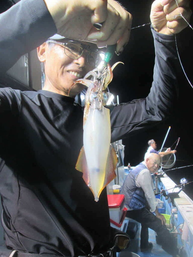 マイカ(ケンサキイカ)