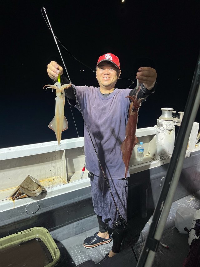 イカ(ケンサキイカ)