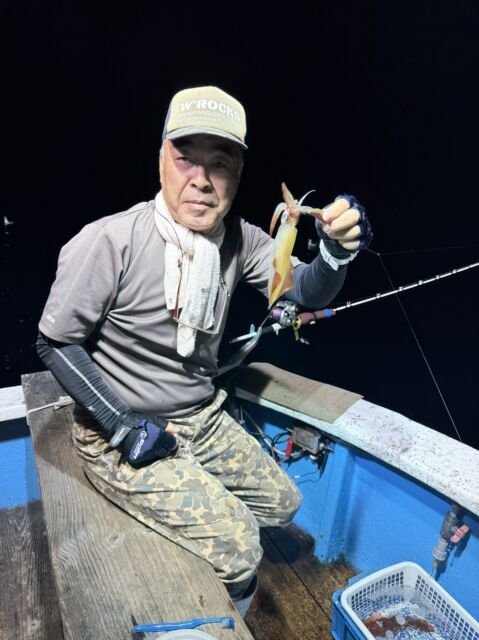 マイカ(ケンサキイカ)