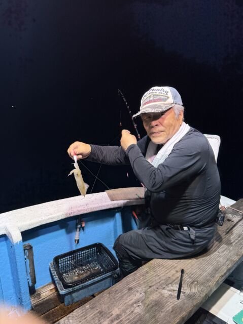 マイカ(ケンサキイカ)