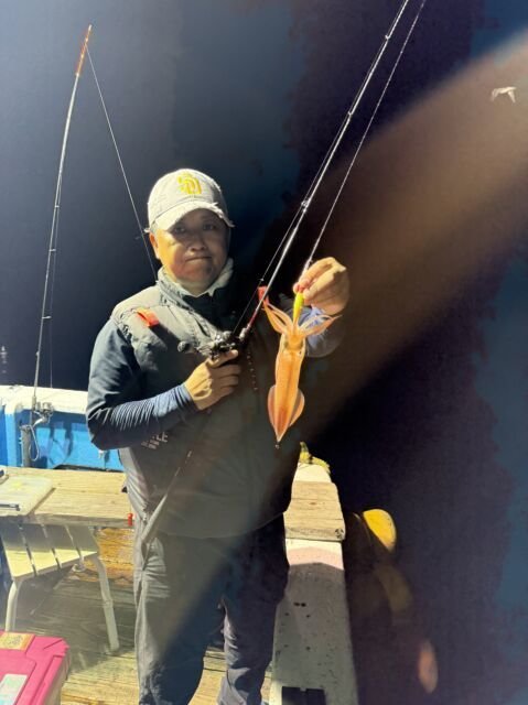 マイカ(ケンサキイカ)