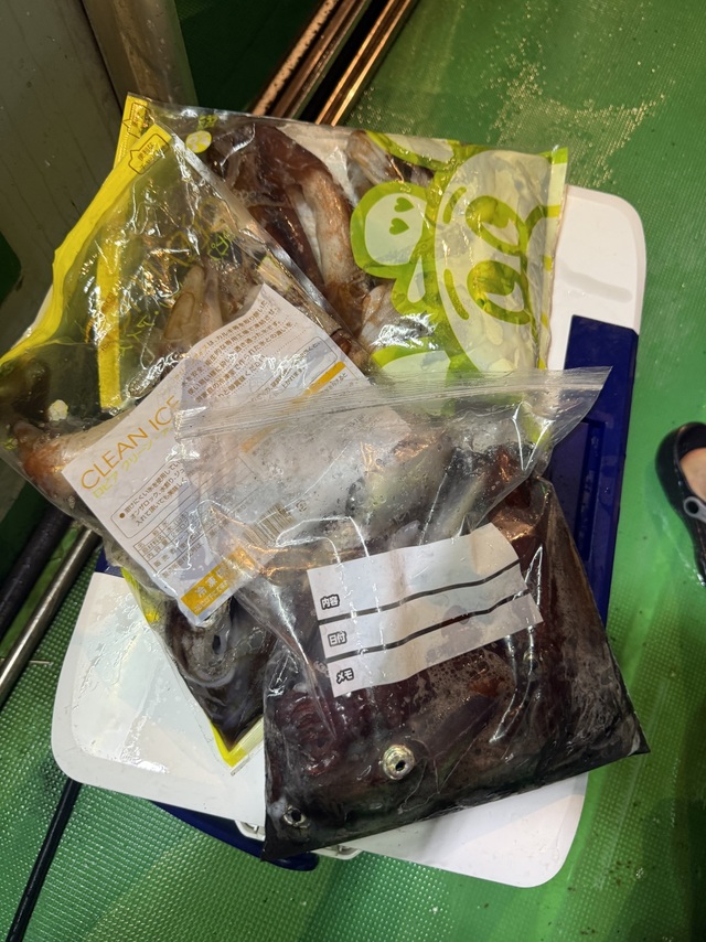 アカイカ(ケンサキイカ)