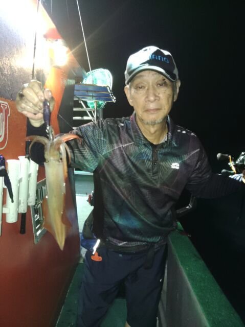 イカ(ヤリイカ)