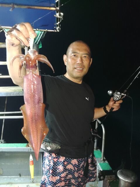 イカ(ヤリイカ)