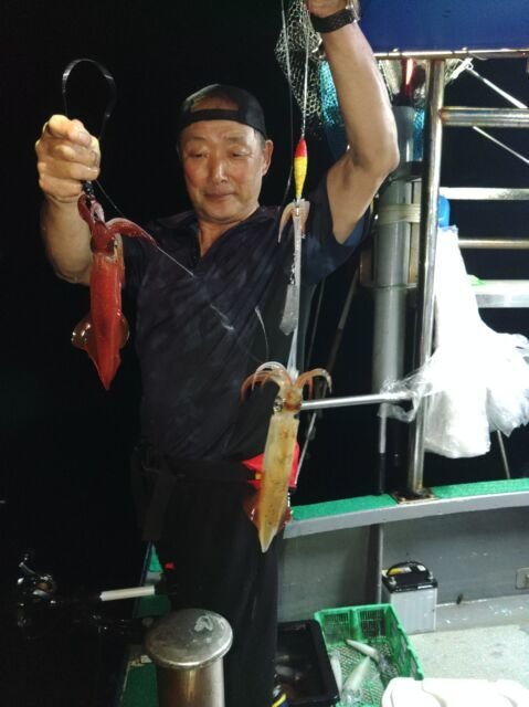 イカ(ヤリイカ)