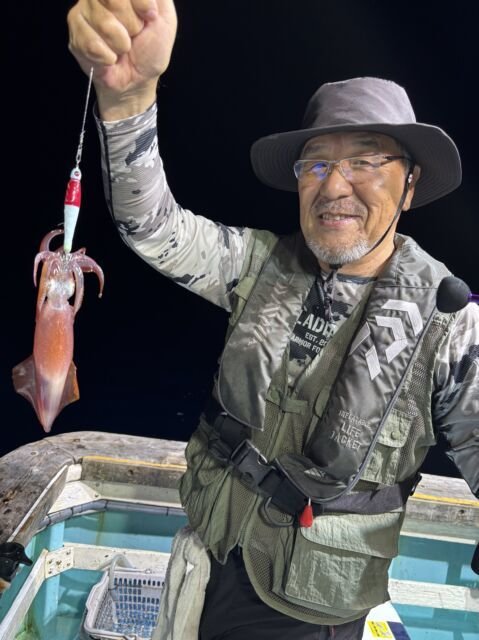 マイカ(ケンサキイカ)