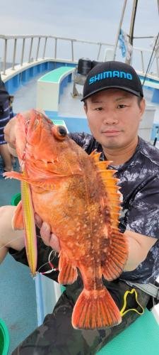 カンコ(ウッカリカサゴ)