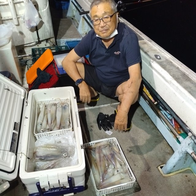 イカ(ヤリイカ)