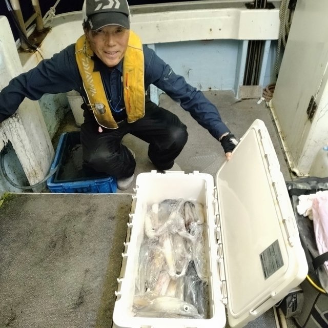 イカ(ヤリイカ)