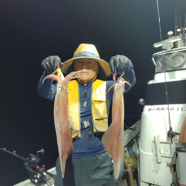 イカ(ヤリイカ)