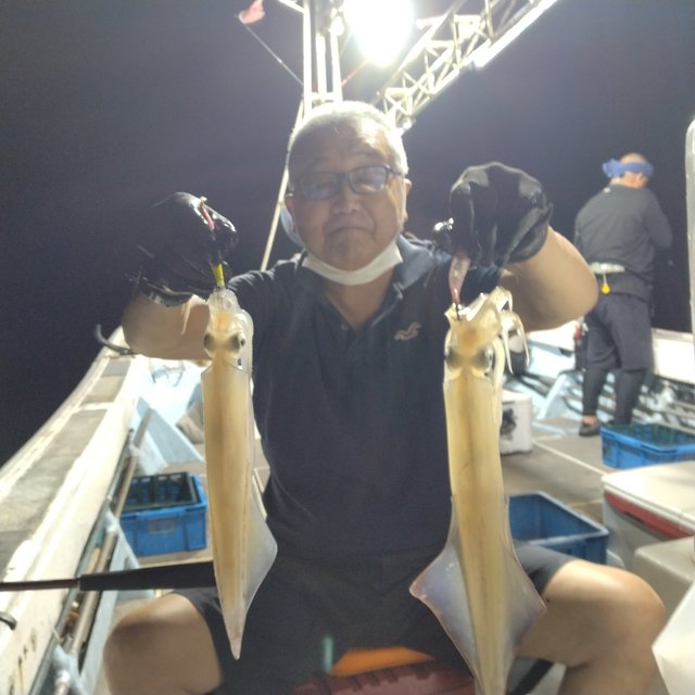 イカ(ヤリイカ)