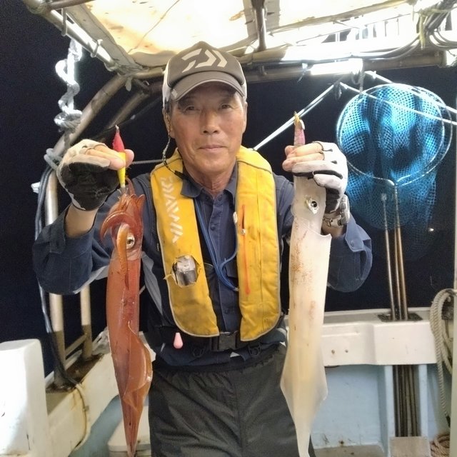 イカ(ヤリイカ)