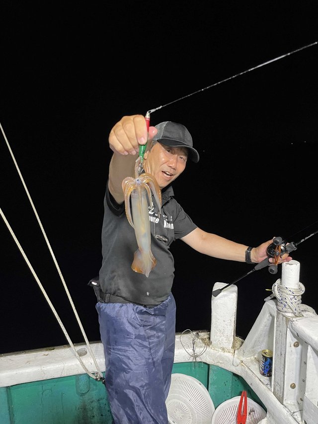 スルメ(スルメイカ)