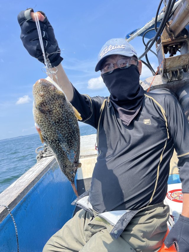 ショウサイフグ