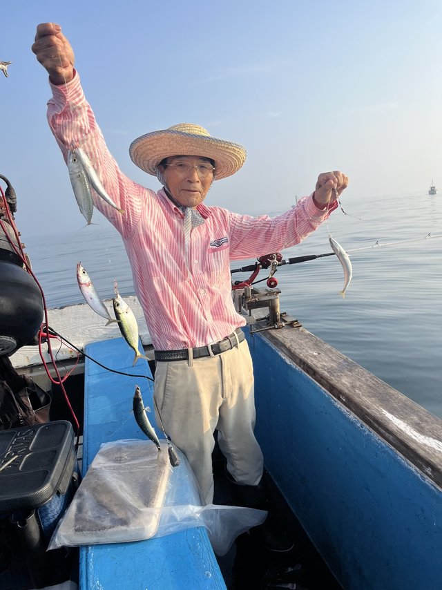 アジ(マアジ)・サバ(ゴマサバ)