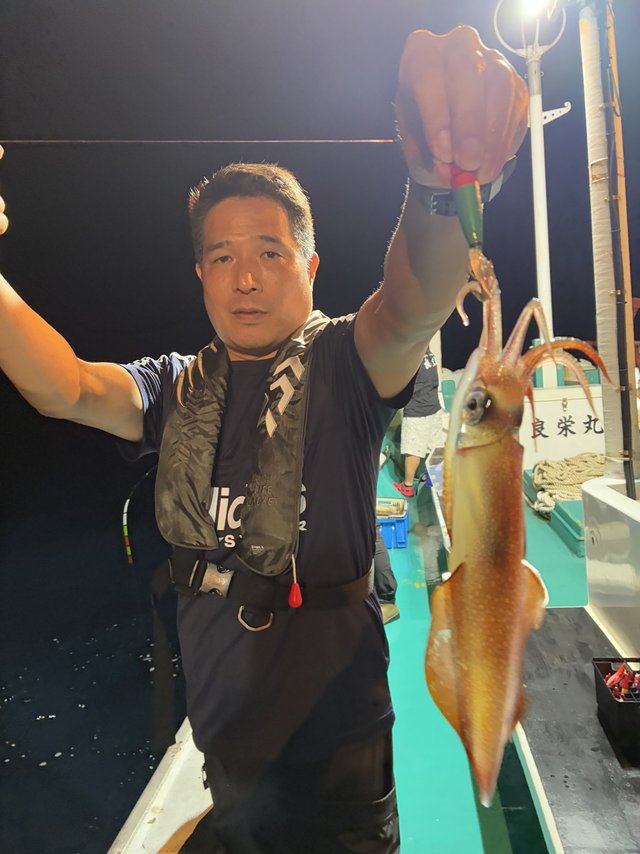 アカイカ(ケンサキイカ)