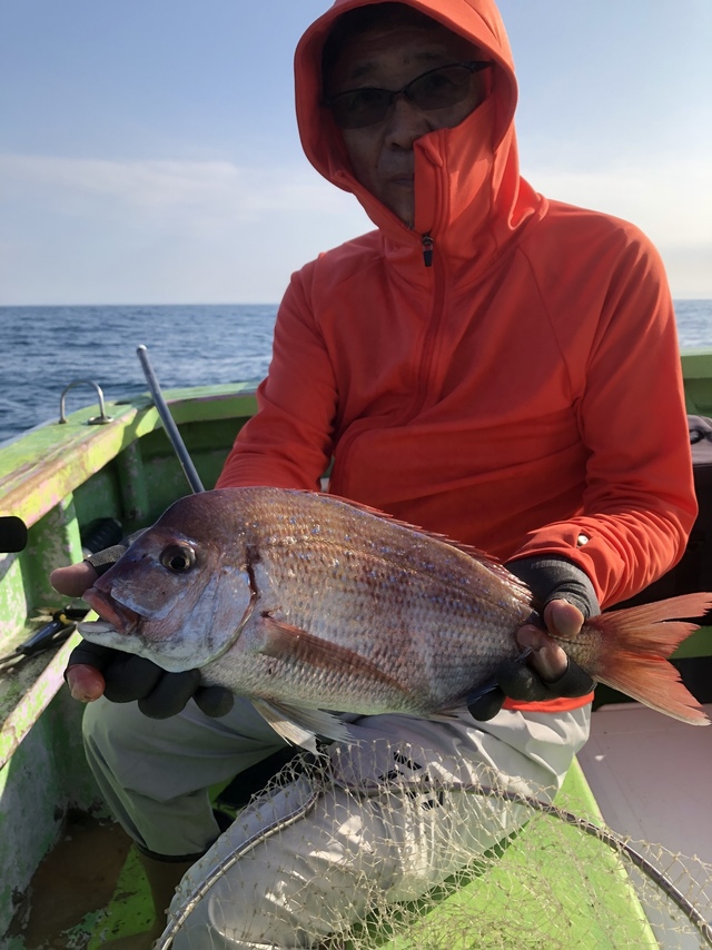 ハナダイ(チダイ)