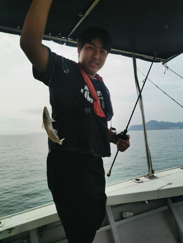 キス(シロギス)