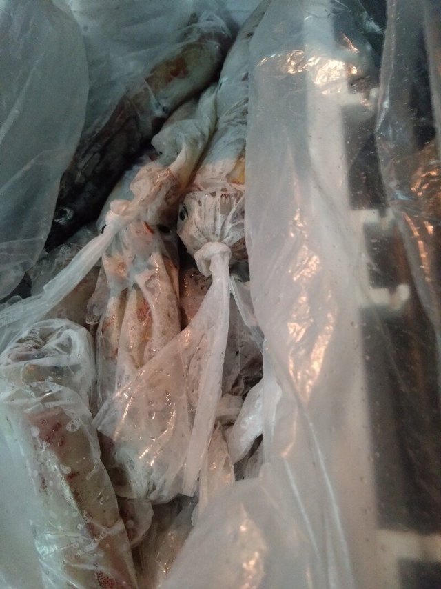 イカ(ケンサキイカ)