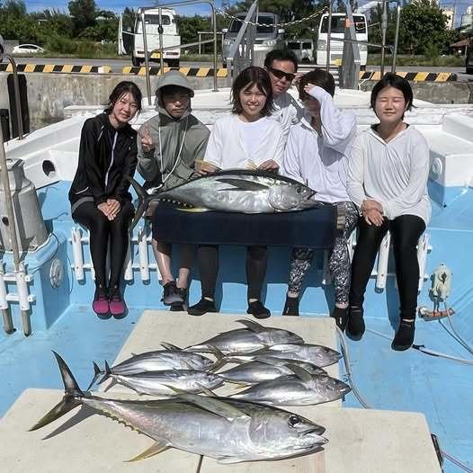 マグロ(キハダ)