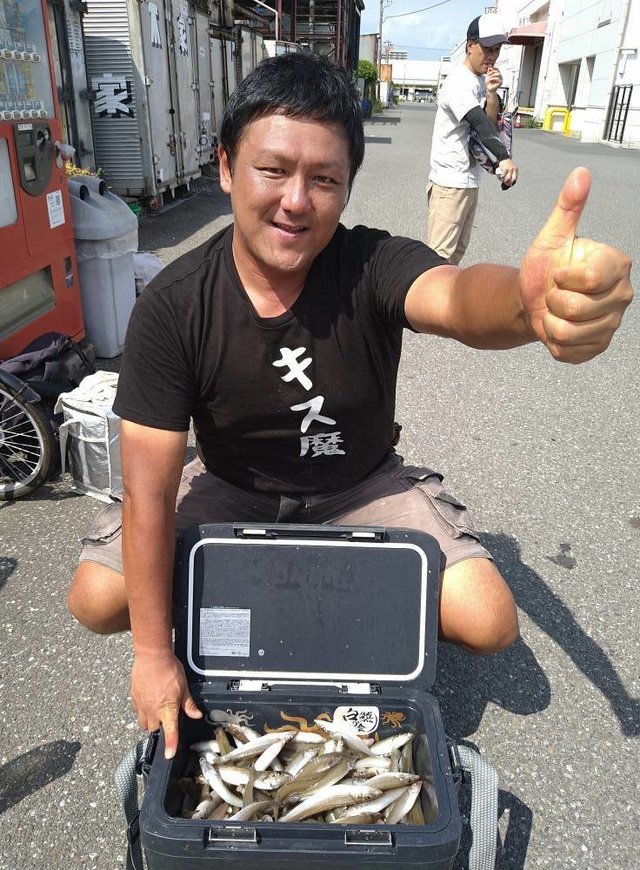 キス(シロギス)