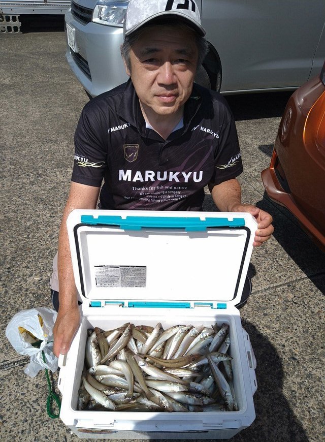 キス(シロギス)