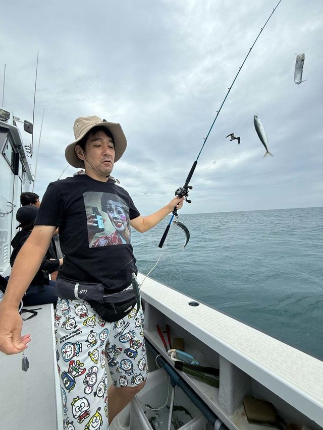 サバ(ゴマサバ)