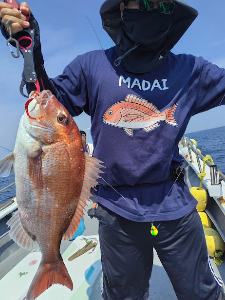 マダイ