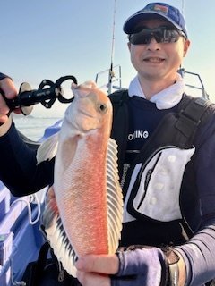 アマダイ(アカアマダイ)