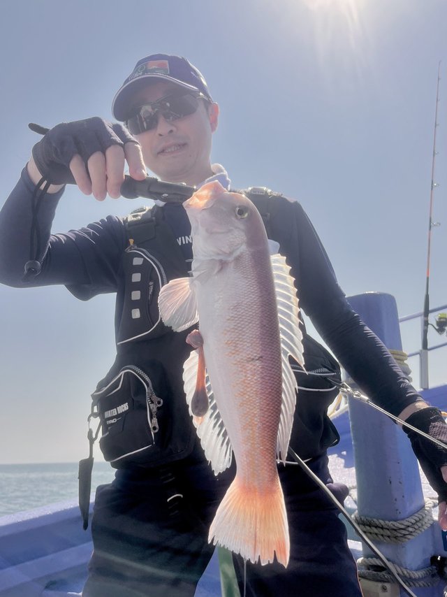 アマダイ(アカアマダイ)