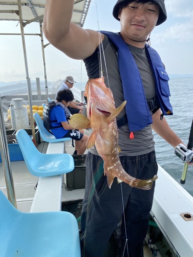 アコウ(キジハタ)