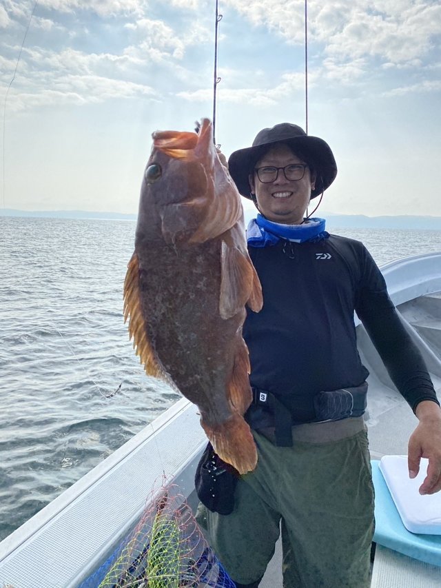 アコウ(キジハタ)