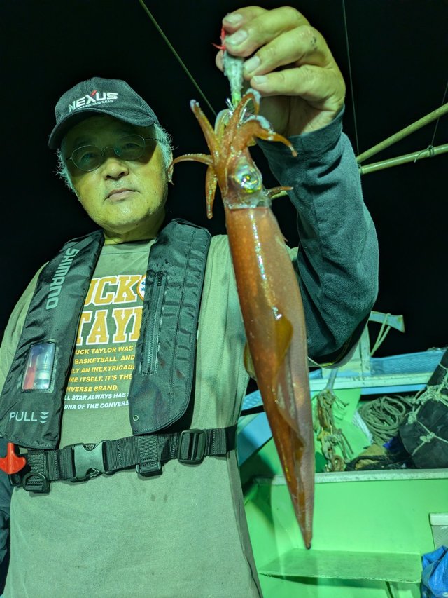 イカ(ケンサキイカ)