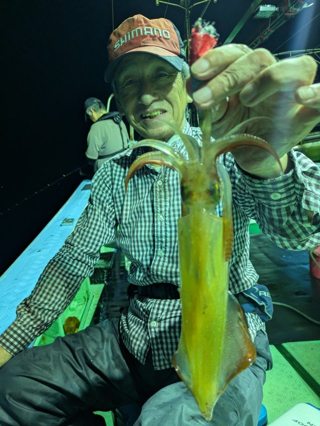 イカ(ケンサキイカ)