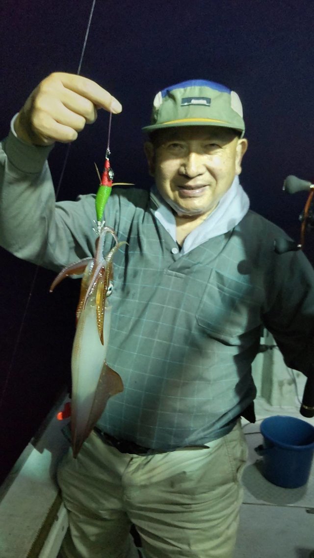 マイカ(ケンサキイカ)