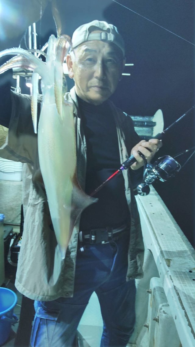 マイカ(ケンサキイカ)