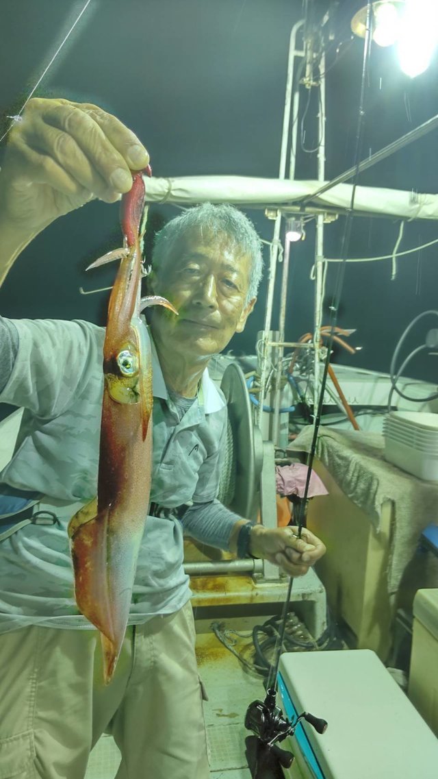 マイカ(ケンサキイカ)