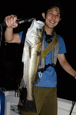 シーバス(スズキ)