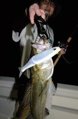 シーバス(スズキ)