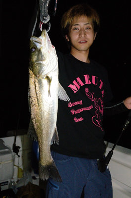 シーバス(スズキ)