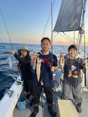 イカ(ヤリイカ)