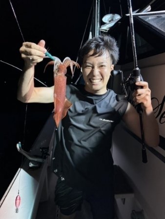 イカ(ヤリイカ)